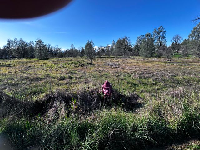 0000 Witch Way, Redding, CA 96003