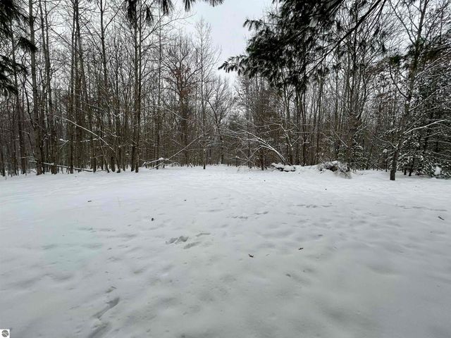 7467 E Higgins Lake Drive, Roscommon, MI 48653