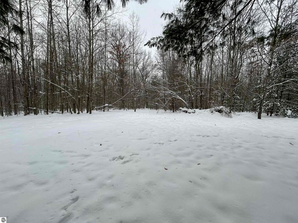 Image 29 of property listing at 7467 E Higgins Lake Drive, Roscommon, MI 48653