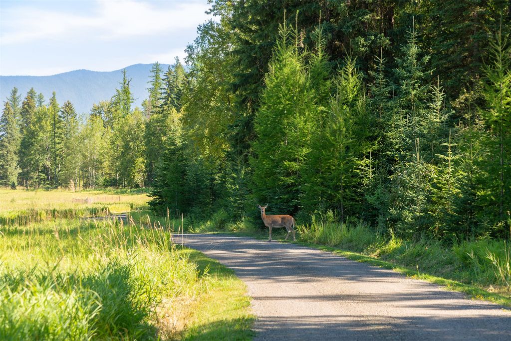 1800 E Edgewood Drive, Whitefish, MT 59937 photo 4