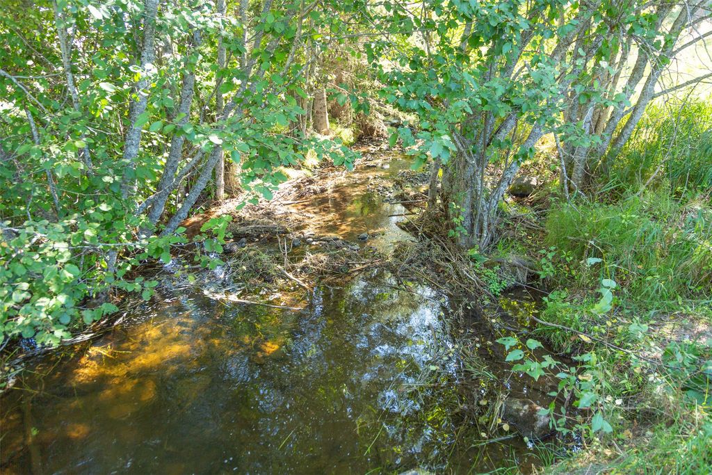 1800 E Edgewood Drive, Whitefish, MT 59937 photo 45