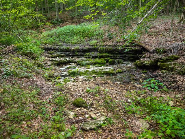 68 Clure Brown Rd, Westmoreland, TN 37186