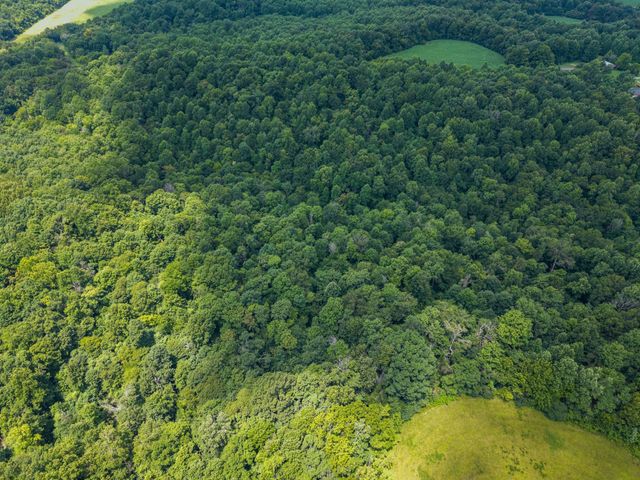 68 Clure Brown Rd, Westmoreland, TN 37186