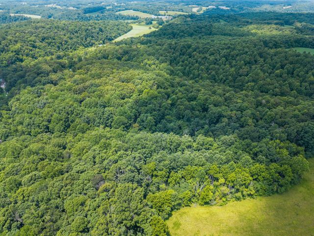 68 Clure Brown Rd, Westmoreland, TN 37186