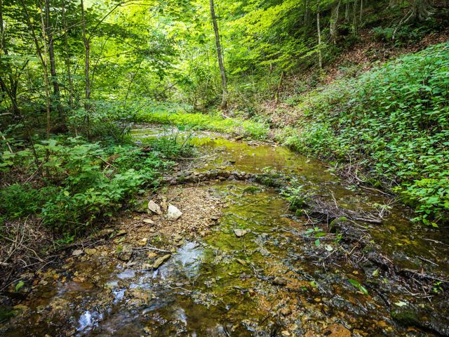 68 Clure Brown Rd, Westmoreland, TN 37186
