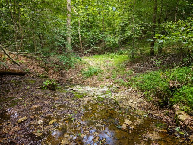 68 Clure Brown Rd, Westmoreland, TN 37186