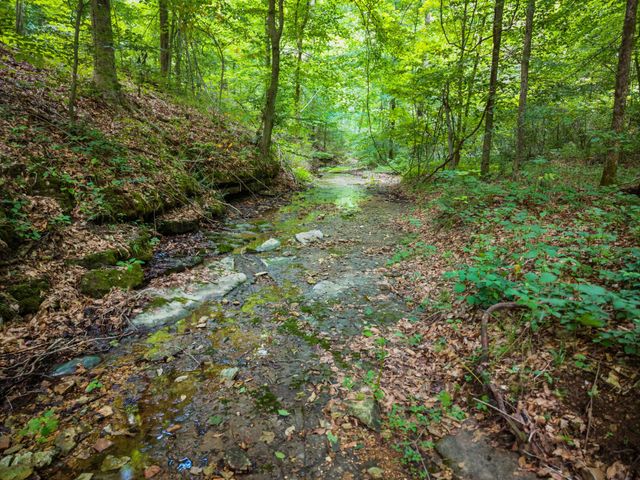 68 Clure Brown Rd, Westmoreland, TN 37186
