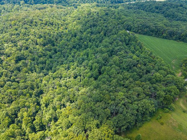 68 Clure Brown Rd, Westmoreland, TN 37186