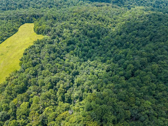 68 Clure Brown Rd, Westmoreland, TN 37186