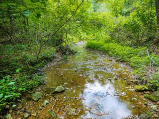 68 Clure Brown Rd, Westmoreland, TN 37186