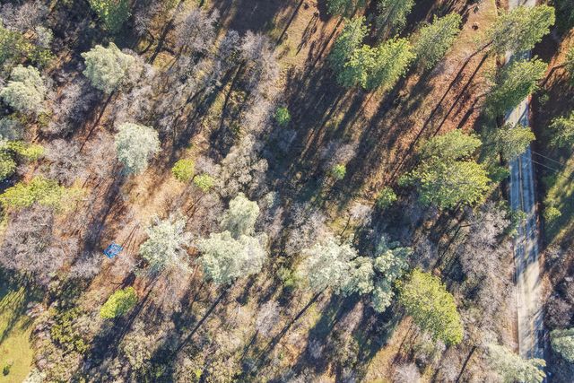 Lot 21 Black Butte Rd Avenue, Shingletown, CA 96088