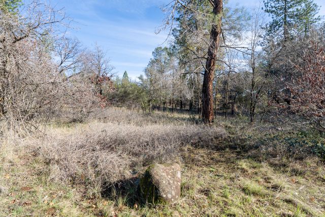 Lot 21 Black Butte Rd Avenue, Shingletown, CA 96088