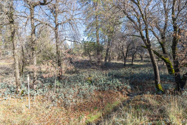 Lot 21 Black Butte Rd Avenue, Shingletown, CA 96088