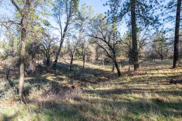 Lot 21 Black Butte Rd Avenue, Shingletown, CA 96088