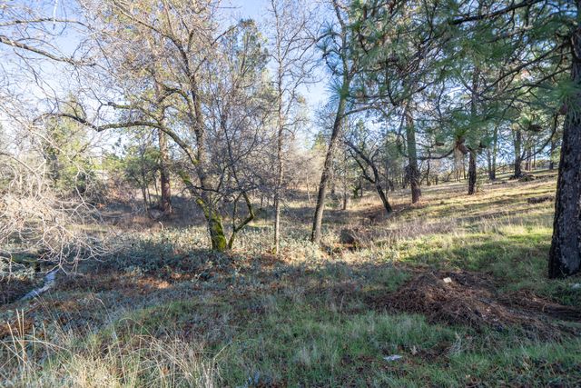 Lot 21 Black Butte Rd Avenue, Shingletown, CA 96088