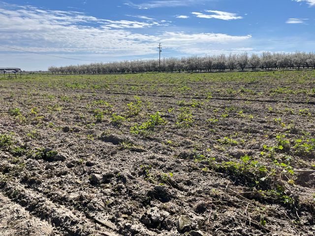 6066 S Cornelia, Fresno, CA 93706