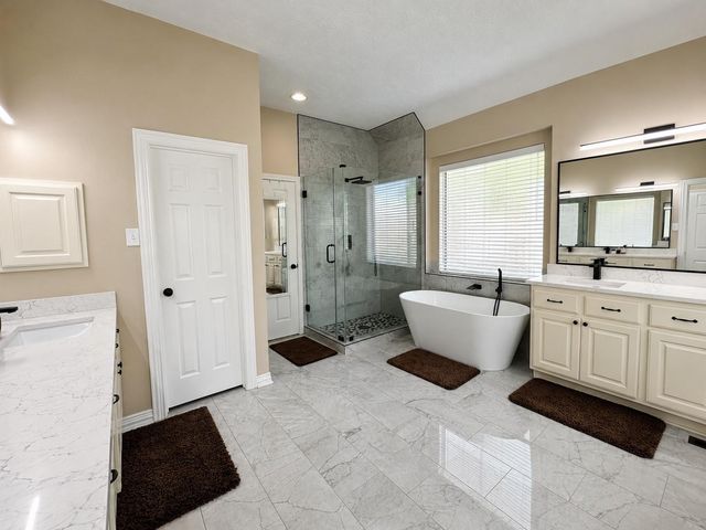 6 Meadow Rose Place, The Woodlands, TX 77382