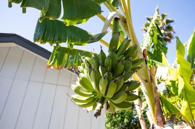 2885 Berryessa Road, San Jose, CA 95132