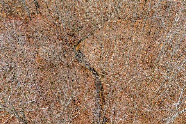 3944 Crawford Rd, Silver Point, TN 38582