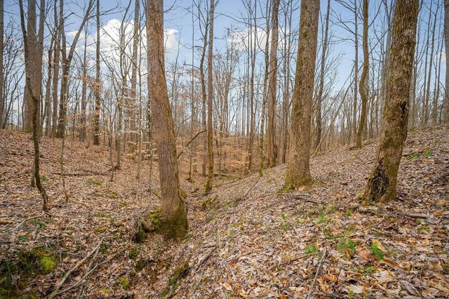 3944 Crawford Rd, Silver Point, TN 38582