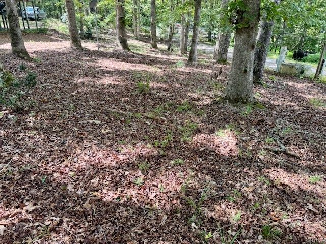 101 Gold Branch Estates Drive, Murphy, NC 28906