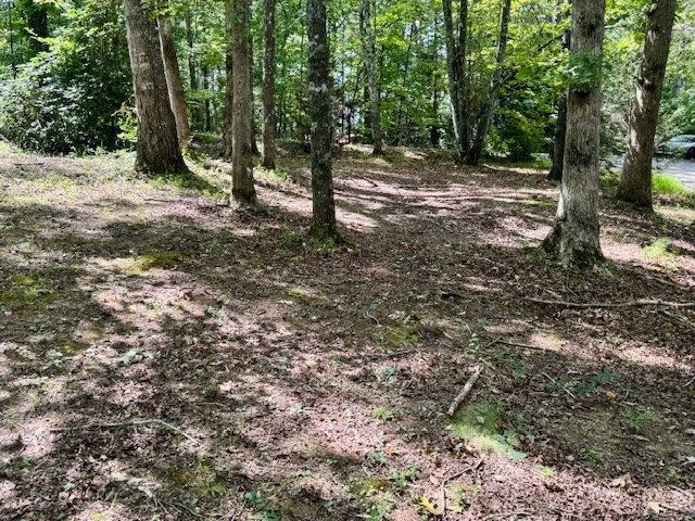 101 Gold Branch Estates Drive, Murphy, NC 28906