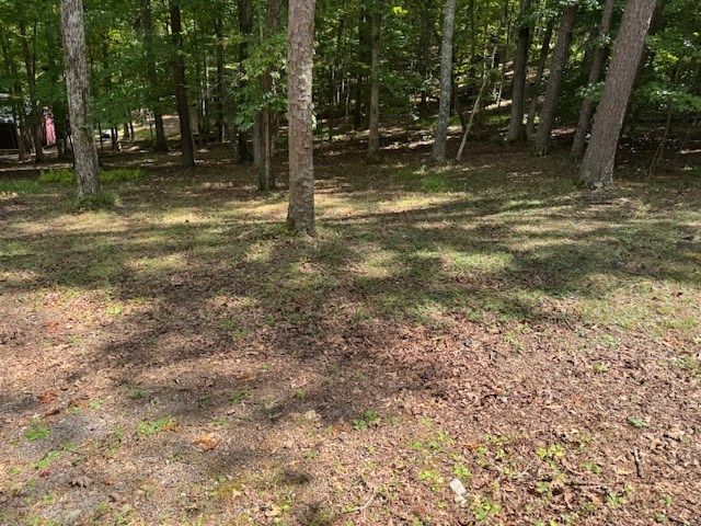 101 Gold Branch Estates Drive, Murphy, NC 28906