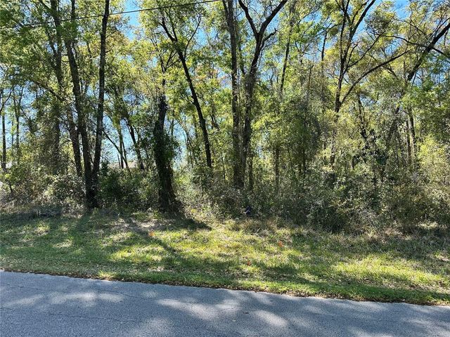 446 N FITZPATRICK AVENUE, Inverness, FL 34453