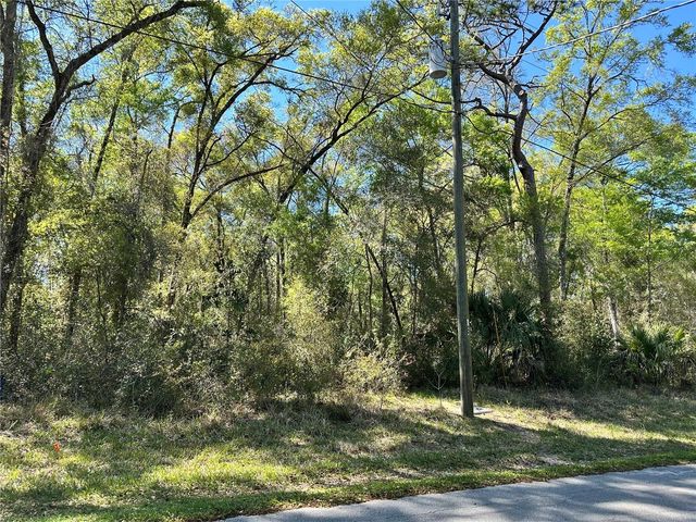 446 N FITZPATRICK AVENUE, Inverness, FL 34453