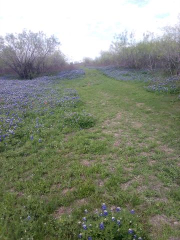 118 Ranchero DR, Buda, TX 78640