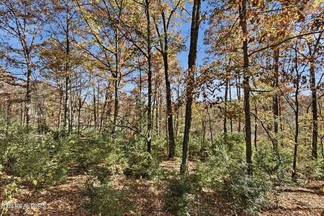 4510 NE Mockingbird Drive Drive, Knoxville, TN 37918