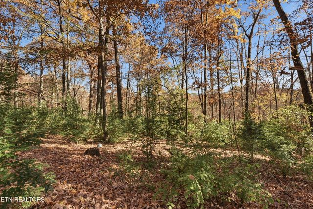 4510 NE Mockingbird Drive Drive, Knoxville, TN 37918