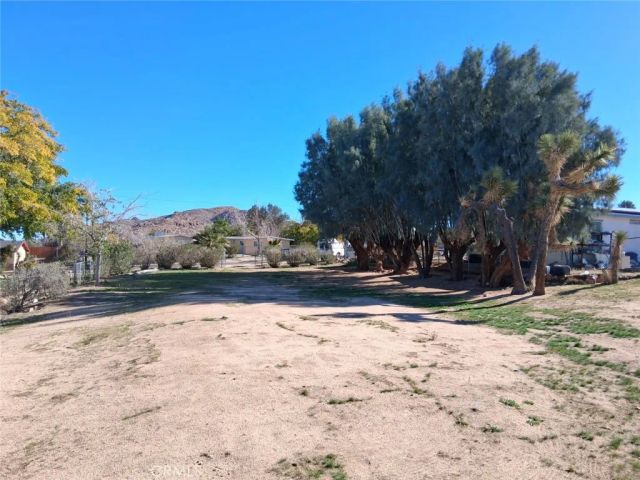 6896 Conejo, Joshua Tree, CA 92252