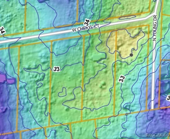 7338 W Cheryl Court, Dunnellon, FL 34433