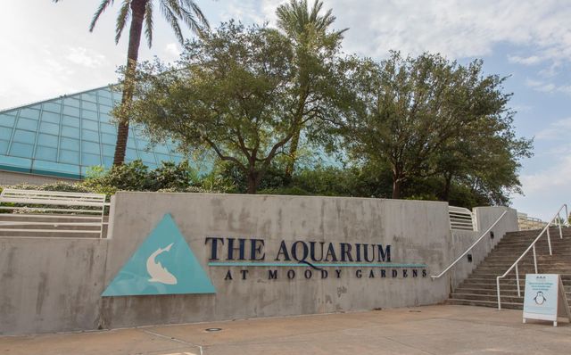 16619 Mansvelt Road, Jamaica Beach, TX 77554