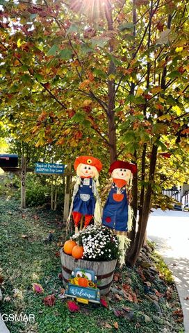 860 Pine Top Lane, Gatlinburg, TN 37738