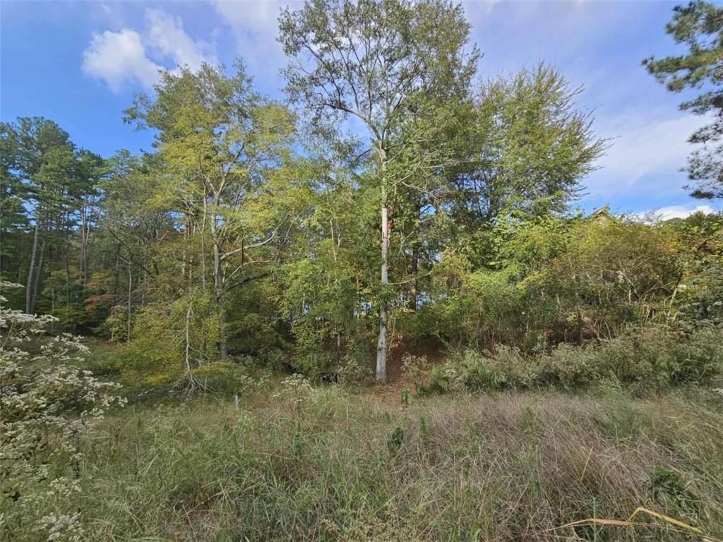 1272 N Edgewater N Trail, Toccoa, GA 30577