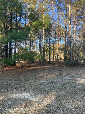 146 Muscadine Trail, Wallace, NC 28466