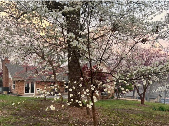 33239 Thompson Road, Afton, OK 74331