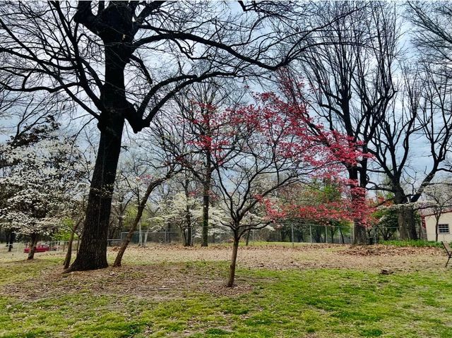 33239 Thompson Road, Afton, OK 74331