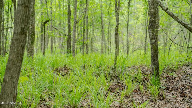 Oooo Big Creek Road, Byram, MS 39272