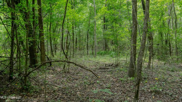Oooo Big Creek Road, Byram, MS 39272