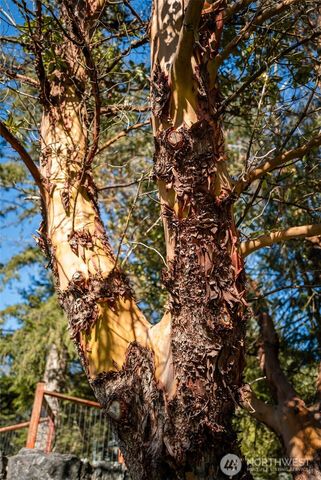 1062 Yacht Haven Road, Friday Harbor, WA 98250