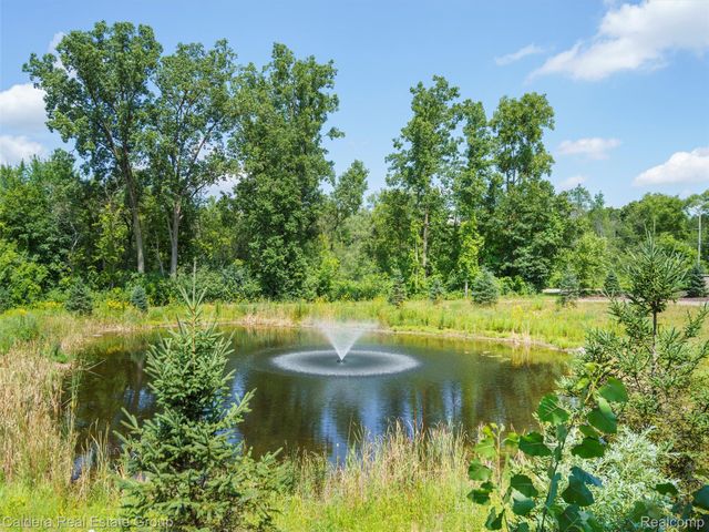 4132 Walcott Drive, Lake Orion Village, MI 48359
