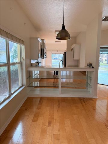 20428 HARVEST OAK COURT, Tampa, FL 33647