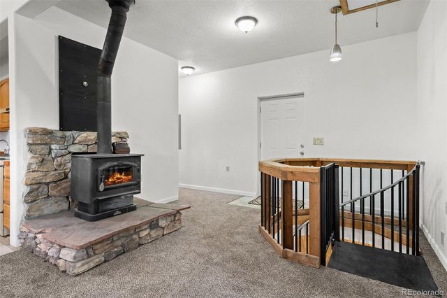 88 Cedar Lane, Bailey, CO 80421