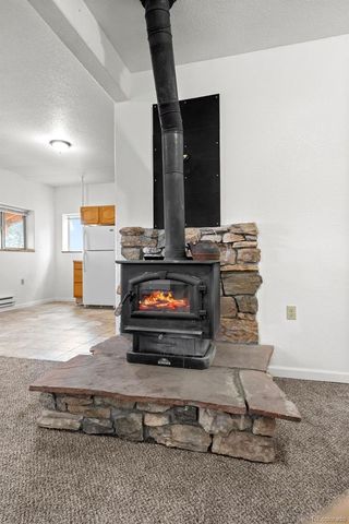 88 Cedar Lane, Bailey, CO 80421