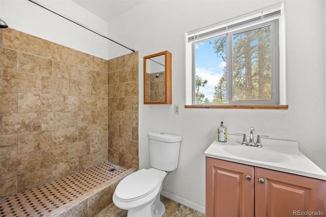 88 Cedar Lane, Bailey, CO 80421