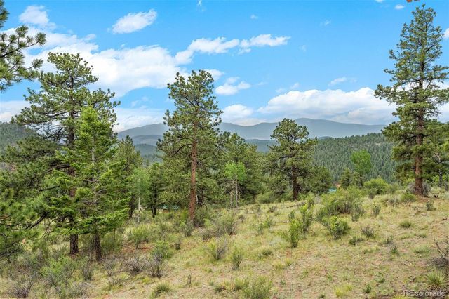 88 Cedar Lane, Bailey, CO 80421