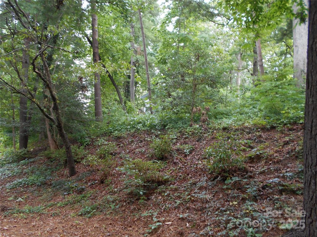 189 Beverly Road, Asheville, NC 28805